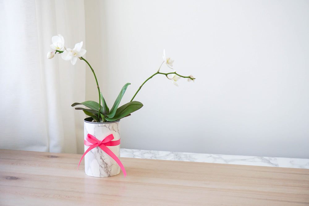 The Perfect Tiny Holiday Gift: Tiny Faux Marble Planters